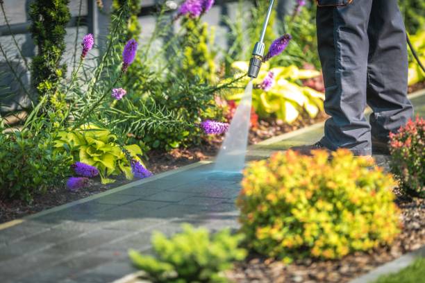 Best Fence Cleaning  in Euclid, OH
